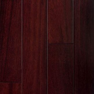 Brazilian Bloodwood