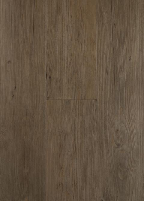Silver Ash