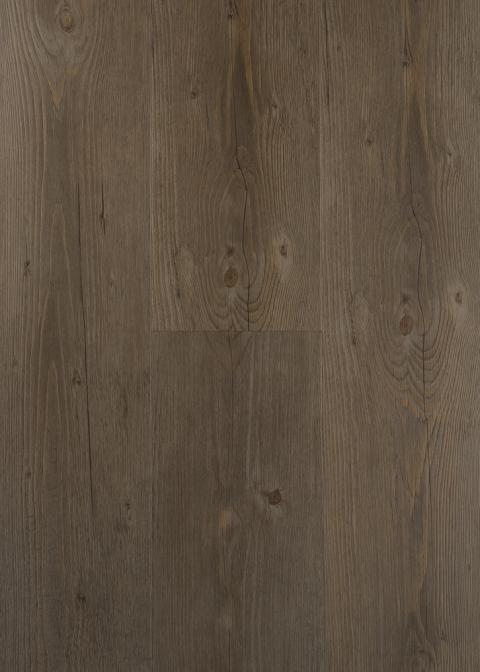 Silver Ash