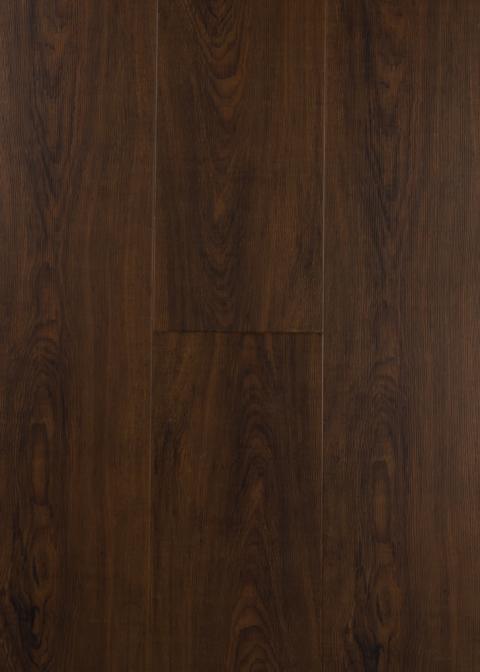 Sequoia