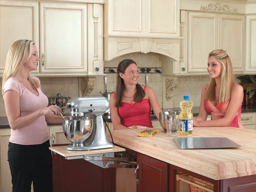 Mixer/Appliance Lift Mechanism without Shelf Sink & Base Accessories - Image 8