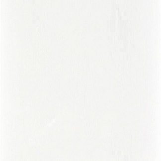Blanco/White 12" x 24"