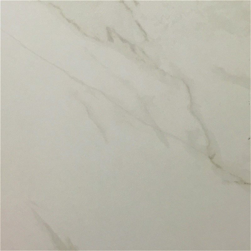 Calacatta Natural 12" x 24"