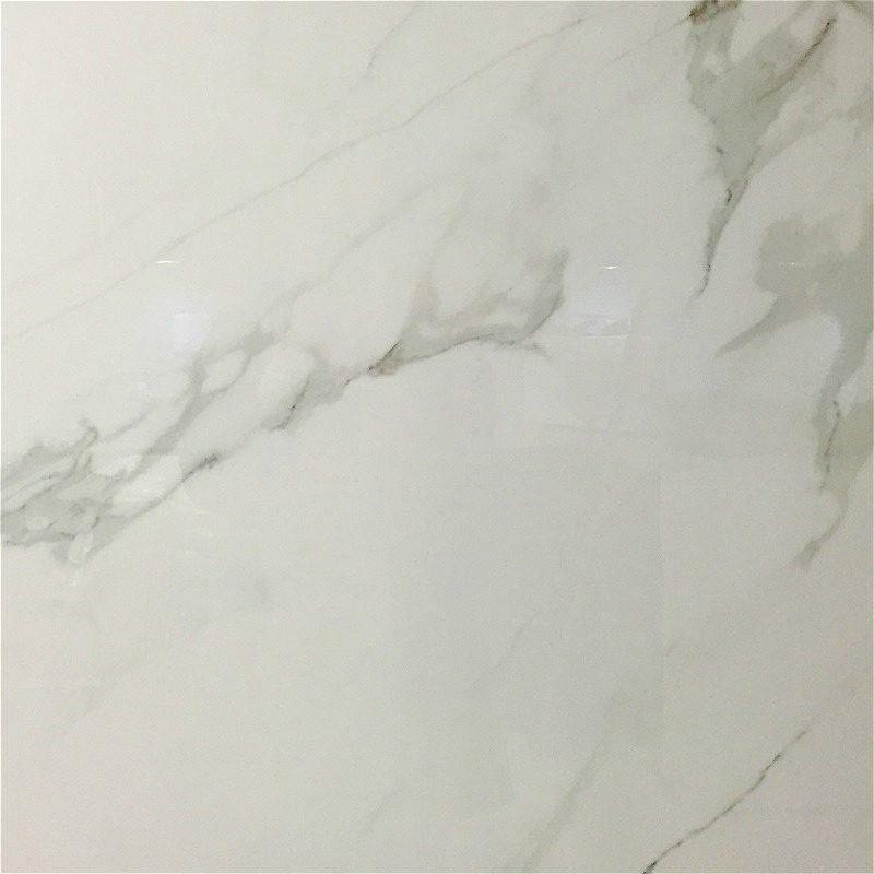 Calacatta Polished 12" x 24"