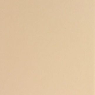 Crema/Beige 12" x 24"
