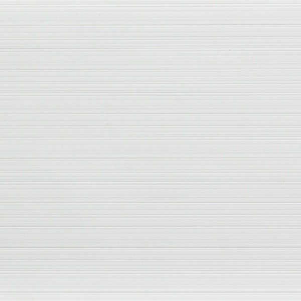 Exotic White 12" x 24"