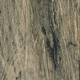 Winter Pine 6" x 36"