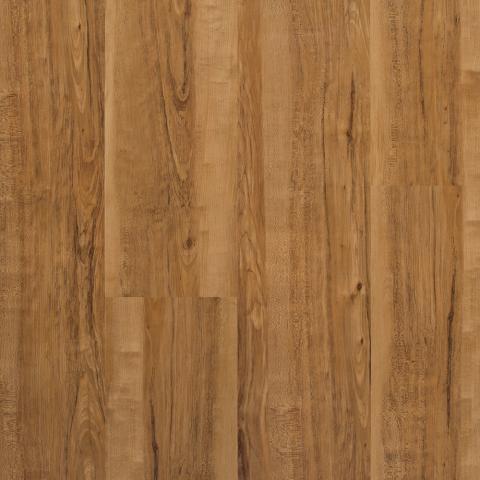 Acacia Natural