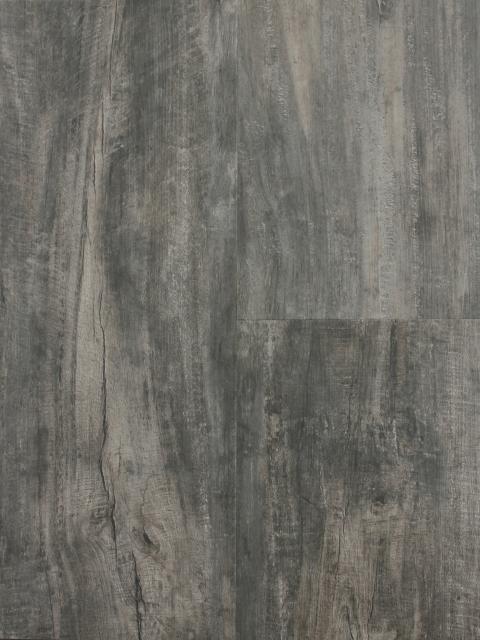Coal