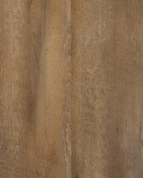 Sugi