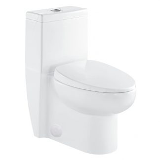 Dual-Flush Siphonic Water Toilet