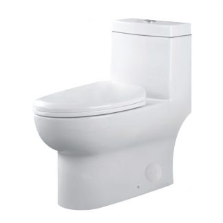 Dual-Flush Siphonic Water Toilet